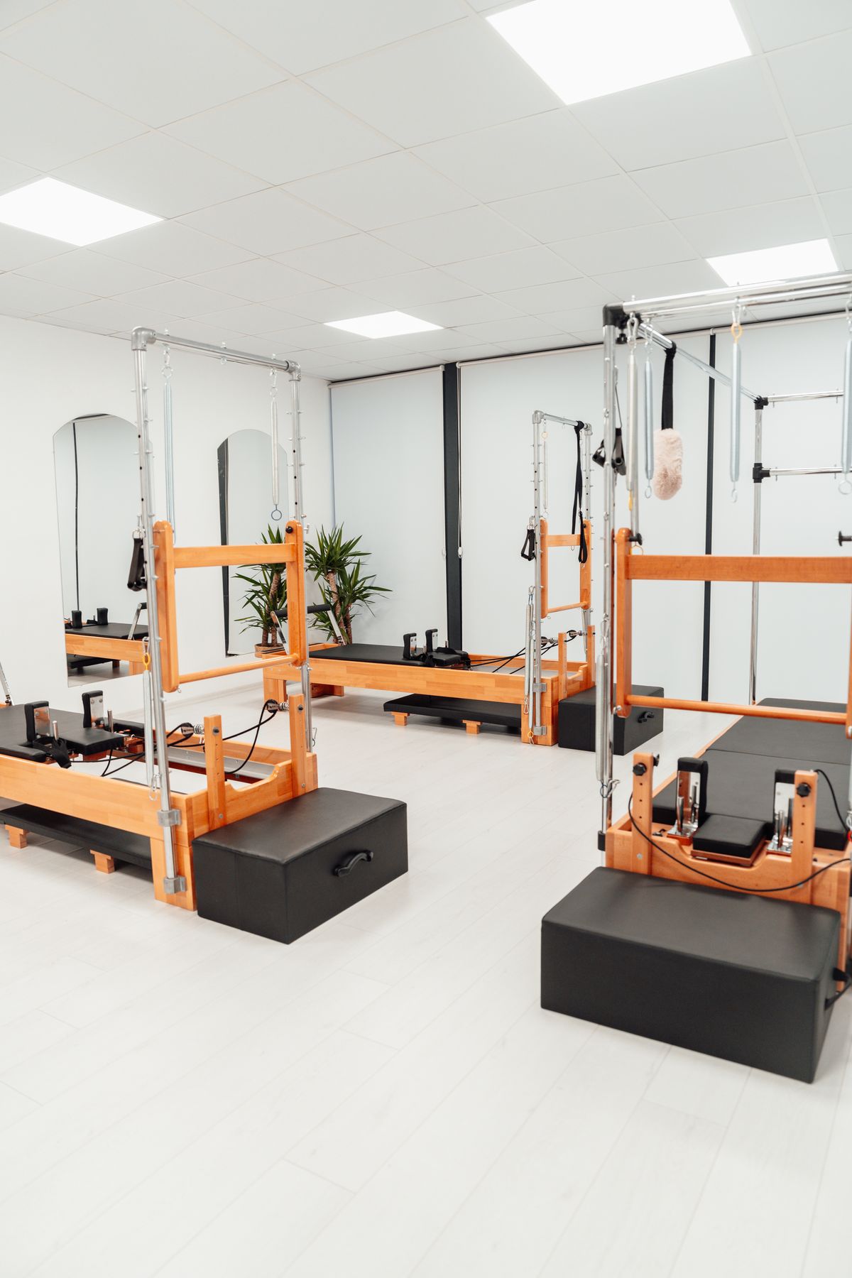 A row of wooden reformer machines in a bright studio
