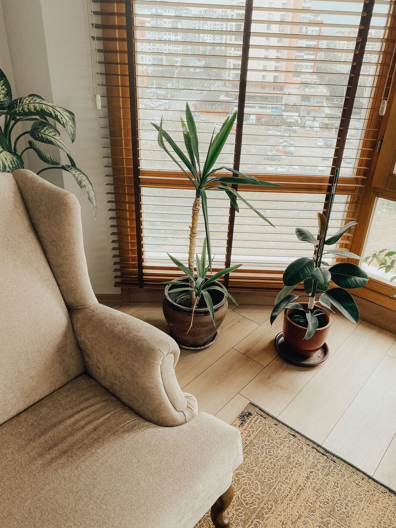 A light armchair by a window with house plants